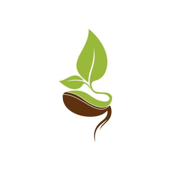Seeds Logo Vector Template Download on Pngtree Seeds Logo Vector Template Download on Pngtree